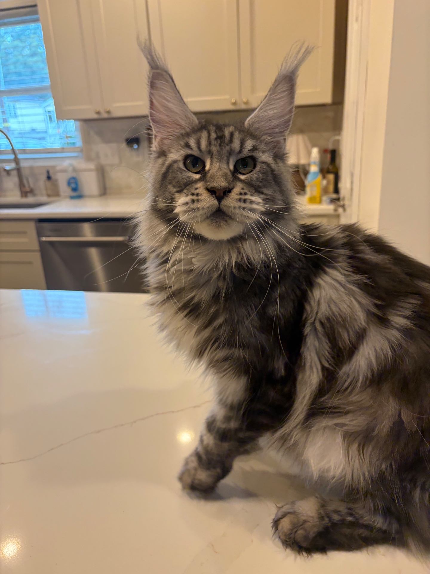 Hunley — expecting with Calhoun, due October 28–31, 2026